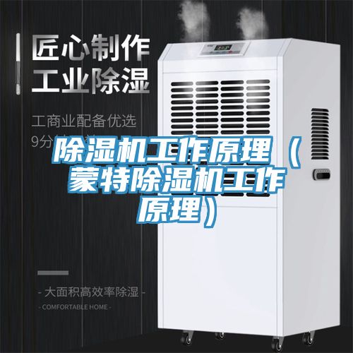除湿机工作原理（蒙特除湿机工作原理）