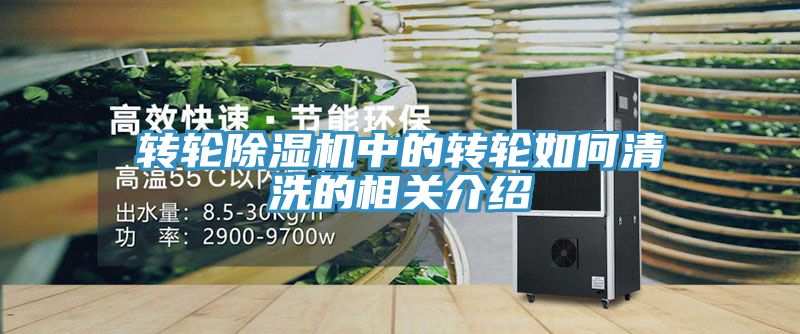转轮除湿机中的转轮如何清洗的相关介绍