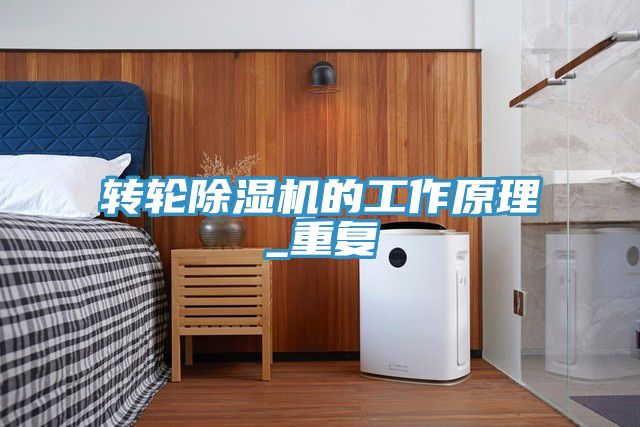 转轮除湿机的工作原理_重复