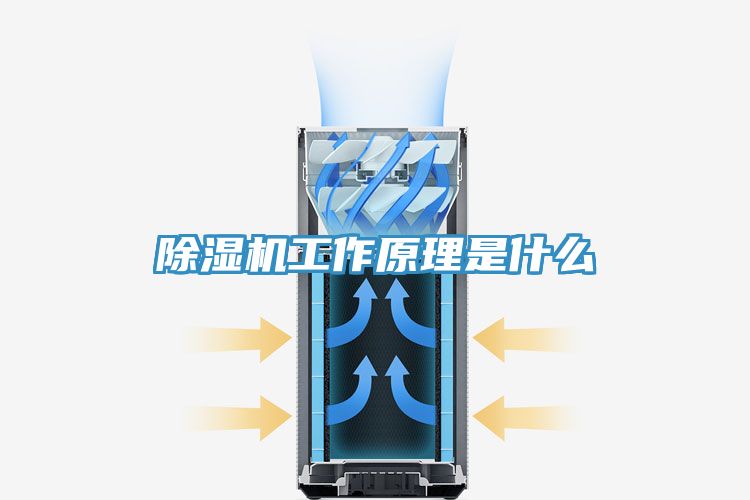 除湿机工作原理是什么