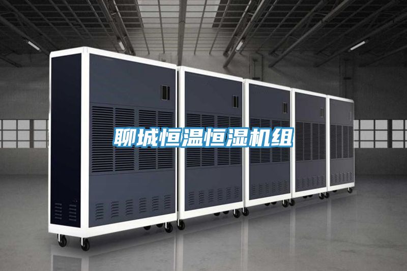聊城恒温恒湿机组