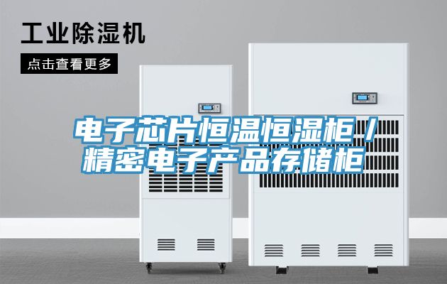 电子芯片恒温恒湿柜／精密电子产品存储柜