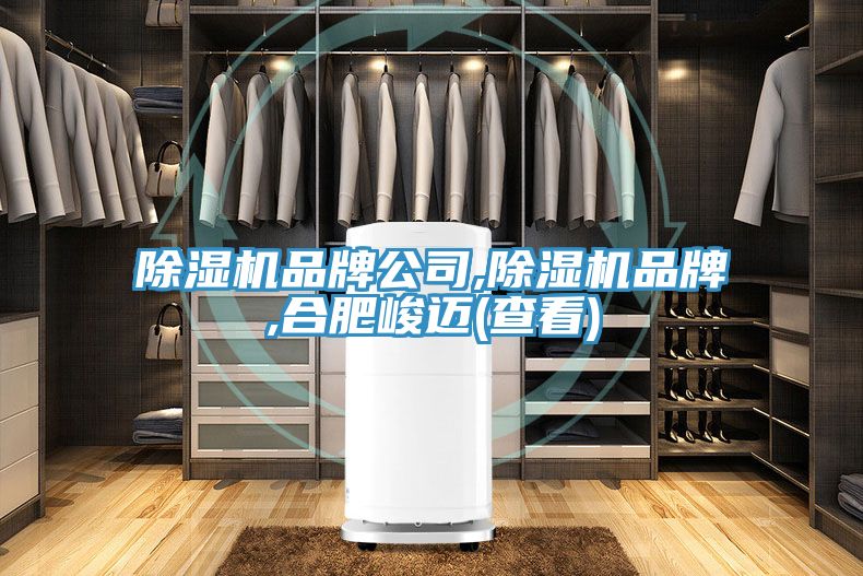 除湿机品牌公司,除湿机品牌,合肥峻迈(查看)