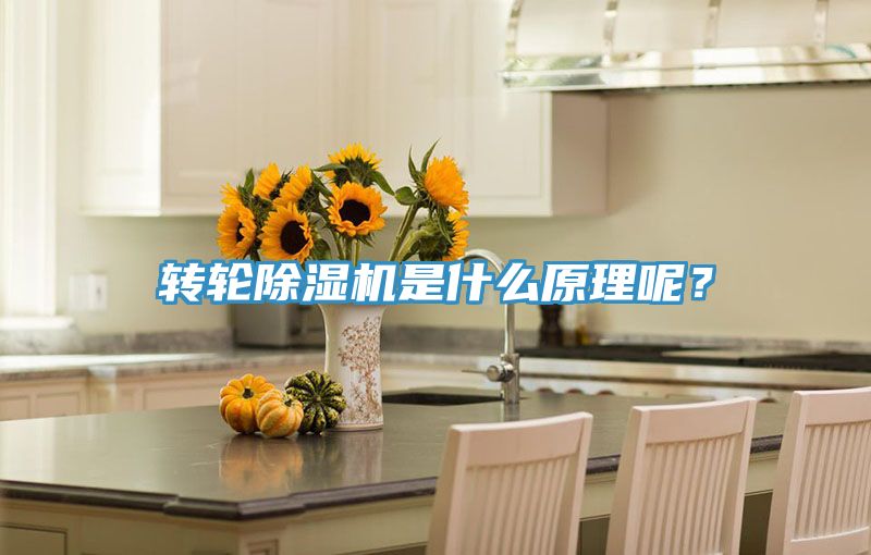 转轮除湿机是什么原理呢？