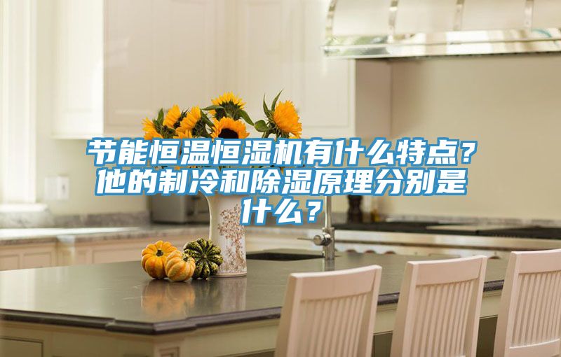 节能恒温恒湿机有什么特点？他的制冷和除湿原理分别是什么？