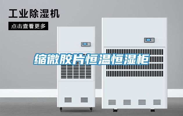 缩微胶片恒温恒湿柜