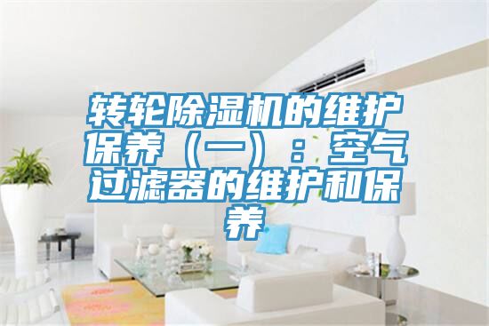 转轮除湿机的维护保养（一）：空气过滤器的维护和保养