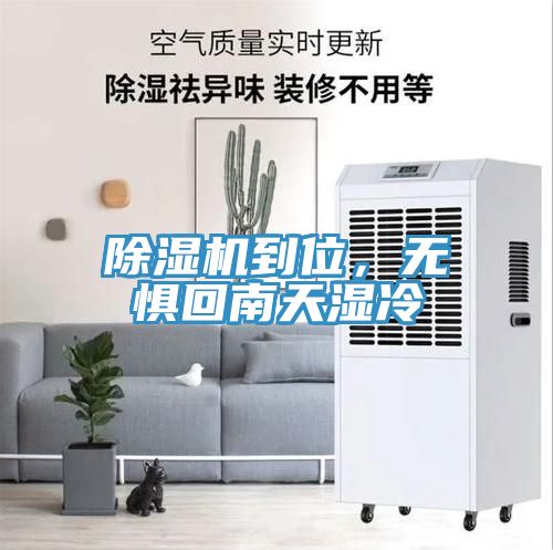 除湿机到位，无惧回南天湿冷