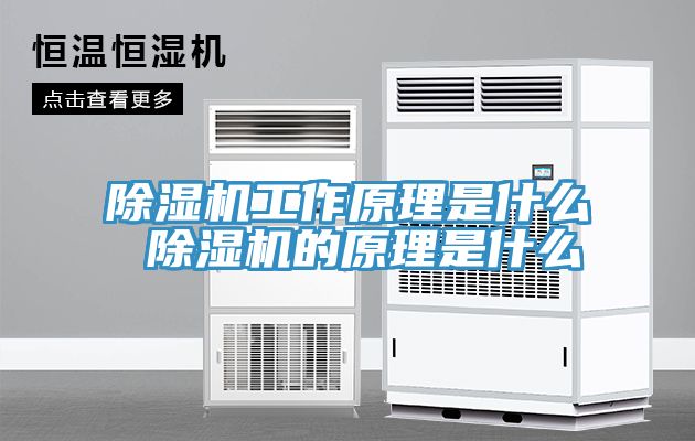 除湿机工作原理是什么 除湿机的原理是什么