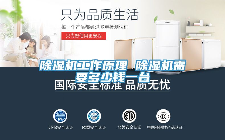 除湿机工作原理 除湿机需要多少钱一台