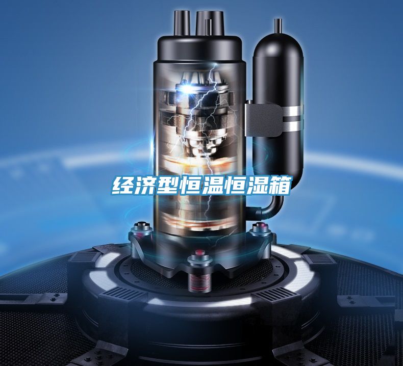 经济型恒温恒湿箱