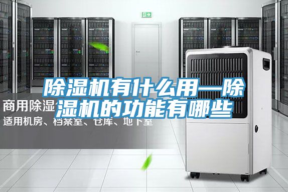 除湿机有什么用—除湿机的功能有哪些