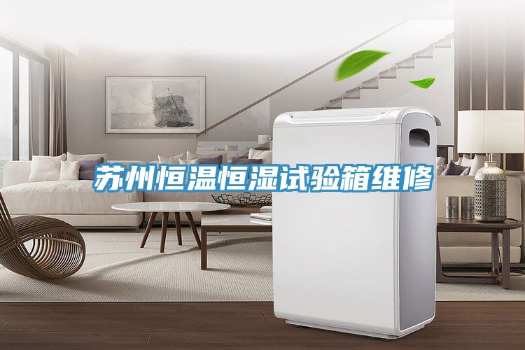 苏州恒温恒湿试验箱维修