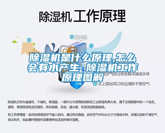 除湿机是什么原理,怎么会有水产生 除湿机工作原理图解