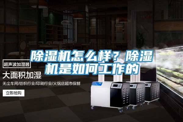 除湿机怎么样？除湿机是如何工作的