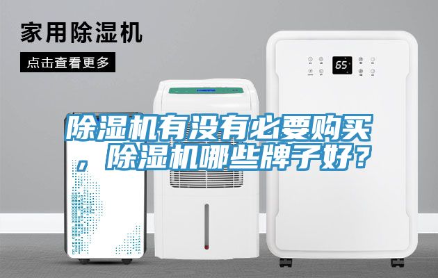 除湿机有没有必要购买，除湿机哪些牌子好？
