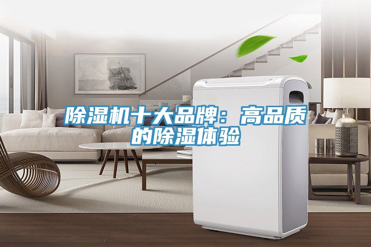 除湿机十大品牌：高品质的除湿体验