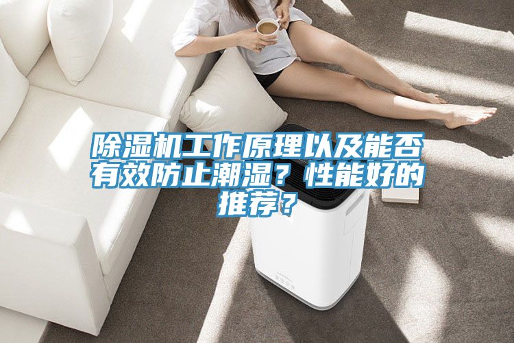 除湿机工作原理以及能否有效防止潮湿？性能好的推荐？