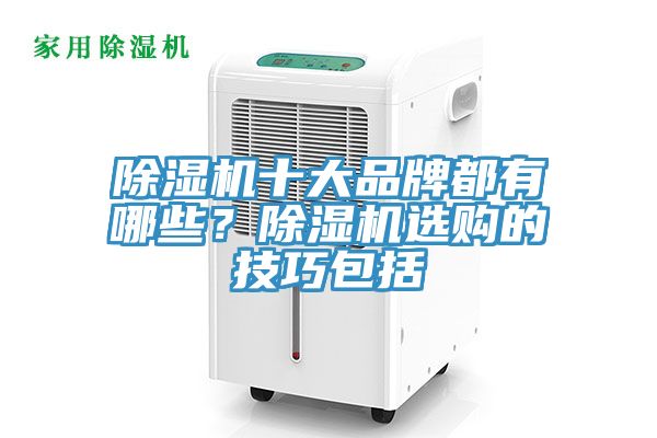 除湿机十大品牌都有哪些？除湿机选购的技巧包括