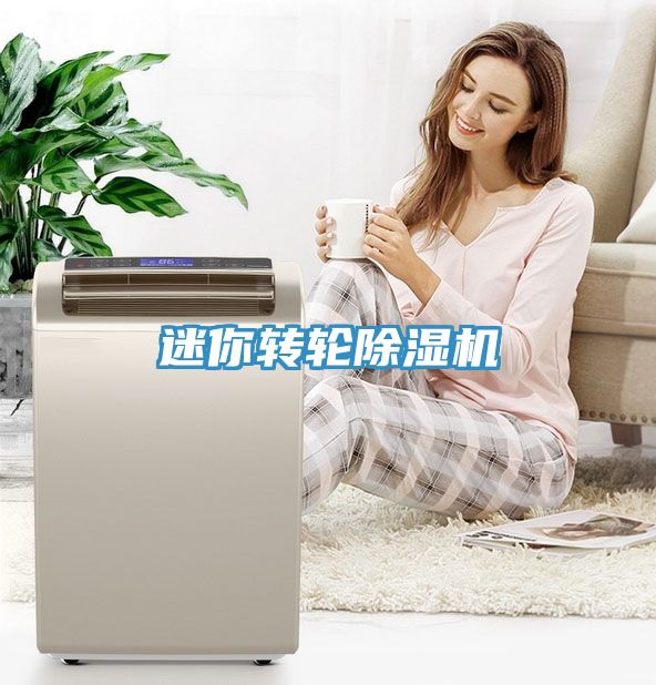 迷你转轮除湿机
