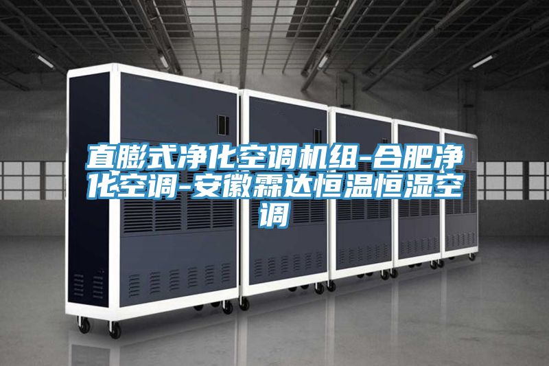 直膨式净化空调机组-合肥净化空调-安徽霖达恒温恒湿空调
