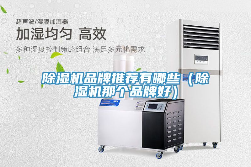 除湿机品牌推荐有哪些（除湿机那个品牌好）