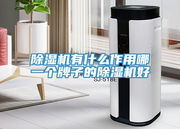 除湿机有什么作用哪一个牌子的除湿机好