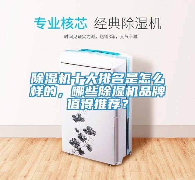 除湿机十大排名是怎么样的，哪些除湿机品牌值得推荐？