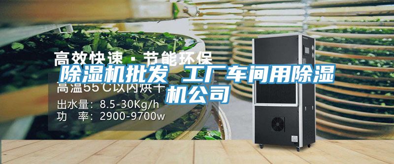 除湿机批发 工厂车间用除湿机公司