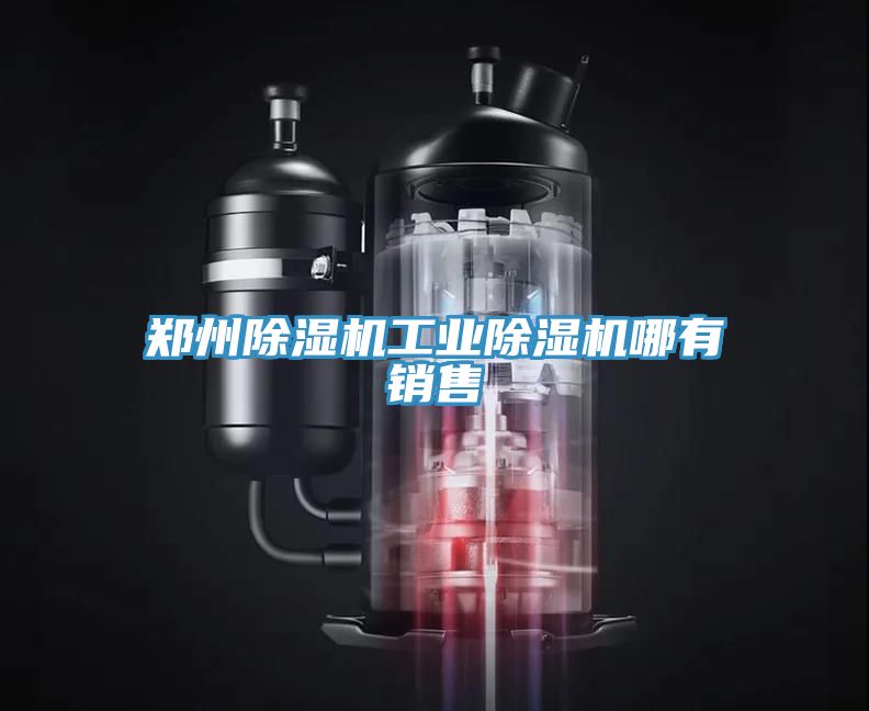 郑州除湿机工业除湿机哪有销售