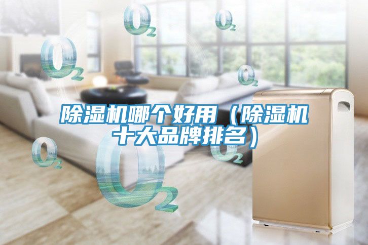 除湿机哪个好用（除湿机十大品牌排名）