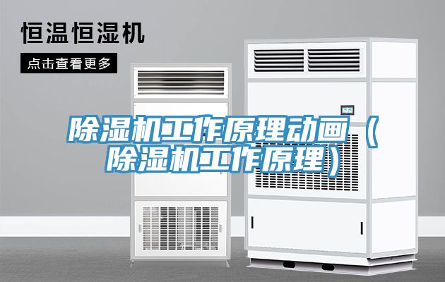 除湿机工作原理动画（除湿机工作原理）
