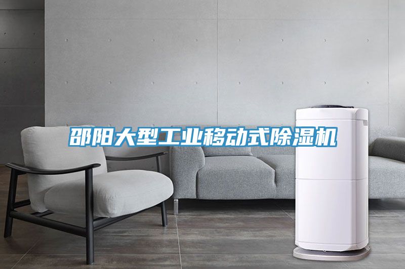 邵阳大型工业移动式除湿机