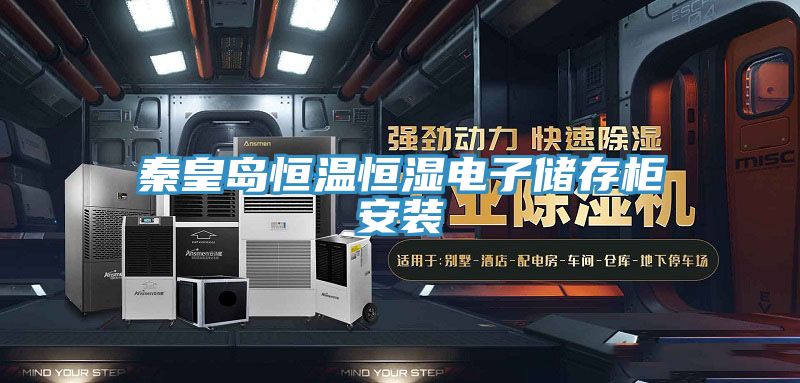 秦皇岛恒温恒湿电子储存柜安装