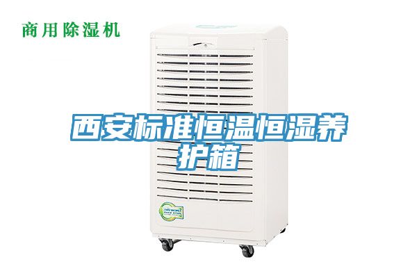 西安标准恒温恒湿养护箱