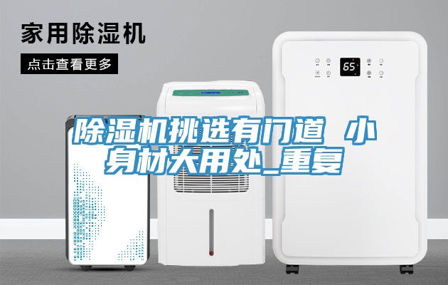 除湿机挑选有门道 小身材大用处_重复