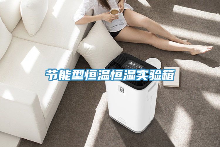 节能型恒温恒湿实验箱