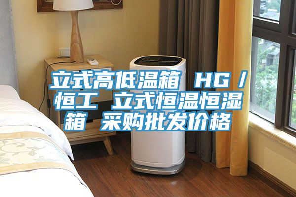立式高低温箱 HG／恒工 立式恒温恒湿箱 采购批发价格
