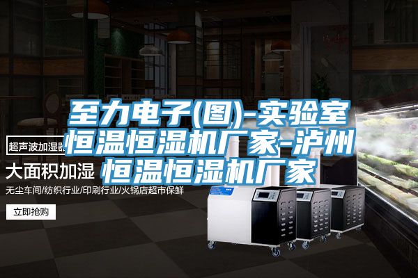 至力电子(图)-实验室恒温恒湿机厂家-泸州恒温恒湿机厂家