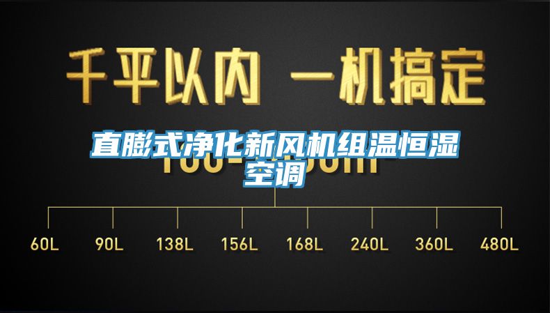 直膨式净化新风机组温恒湿空调