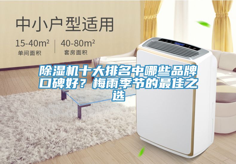 除湿机十大排名中哪些品牌口碑好？梅雨季节的最佳之选