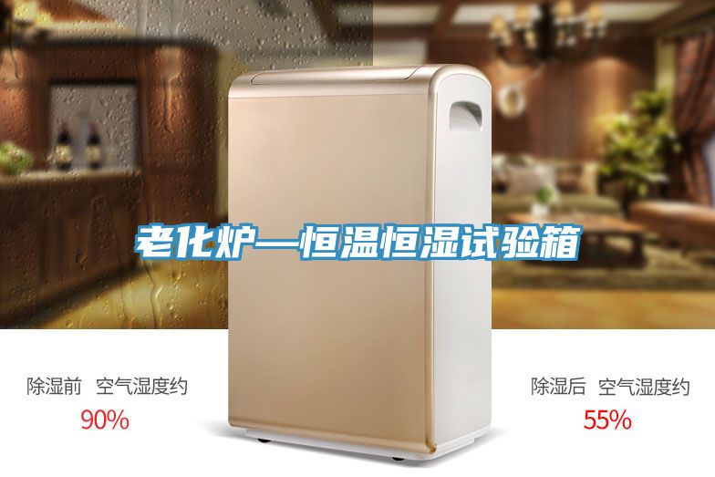 老化炉—恒温恒湿试验箱
