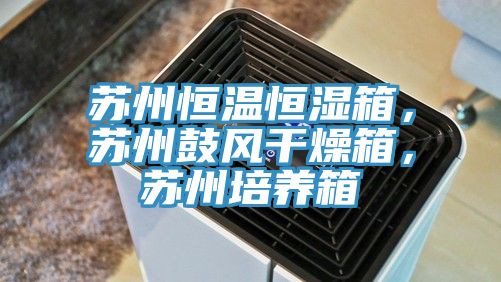 苏州恒温恒湿箱，苏州鼓风干燥箱，苏州培养箱