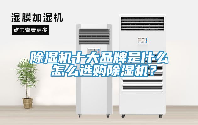 除湿机十大品牌是什么 怎么选购除湿机？