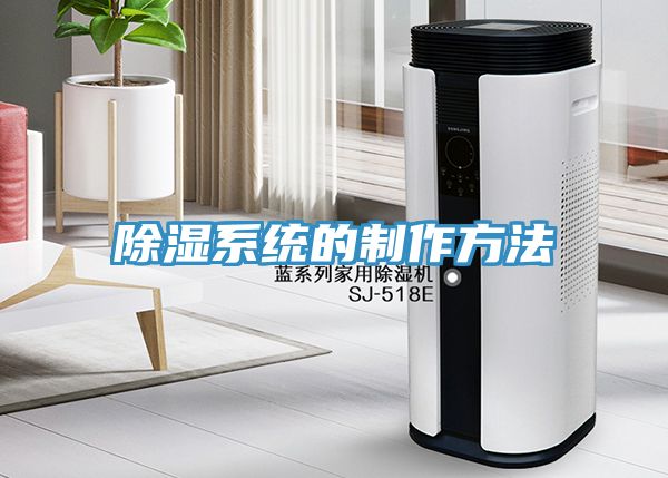 除湿系统的制作方法