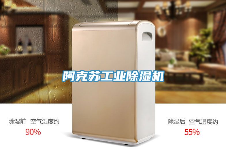阿克苏工业除湿机