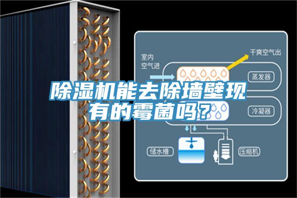 除湿机能去除墙壁现有的霉菌吗？