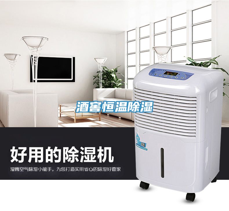 酒窖恒温除湿