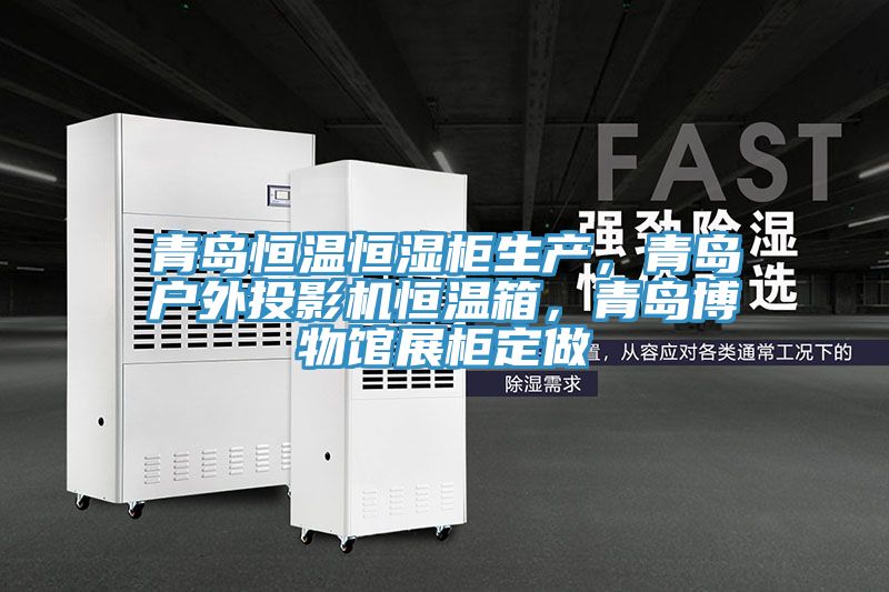 青岛恒温恒湿柜生产，青岛户外投影机恒温箱，青岛博物馆展柜定做