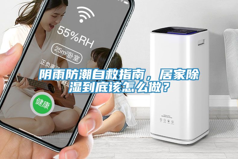 阴雨防潮自救指南，居家除湿到底该怎么做？